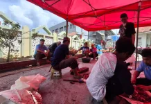 Hewan Kurban di Masjid Baiturrahman Meningkat, Capai 10 Ekor pada Idul Adha 1447 H