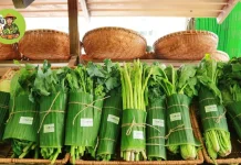Daun Pisang Geser Plastik Sekali Pakai di Supermarket Asia