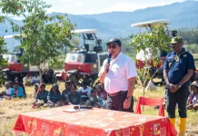 Pemprov Papua Pegunungan Dorong Ketahanan Pangan Melalui 2.000 Hektar Sawah