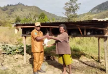 Kepala Distrik Mokoni Serahkan Bantuan Bibit Kelinci Kepada Masyarakat Wakomalo