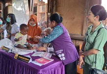 Ketua TP PKK Jayawijaya: Keluarga Sehat Berawal dari Posyandu