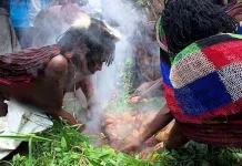 Mengenal Ragam Tradisi Bakar Batu Khas Papua Pegunungan