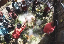 Filosofi Sakral Tanah dan Batu dalam Tradisi Bakar Batu Papua Pegunungan