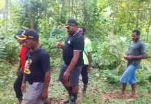 Pemkab Tolikara Tinjau Program Penanaman Kakao di Distrik Wari dan Douw