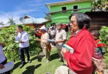 BPN Jayawijaya dan PN Wamena Periksa Lokasi Sengketa Perdata