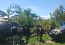 Satreskrim Polres Jayawijaya Amankan Terduga Pelaku Curanmor di Wamena