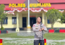 Polres Jayawijaya Musnahkan 5.407 Batang Ganja
