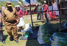 Festival dan Bazar Murah Warnai HUT Kopdes Merah Putih Walesi