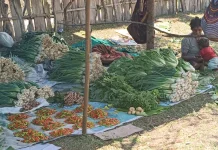 Satu Noken Berjuta Harapan, Geliat Ekonomi dari  Kampung Walesi Jayawijaya