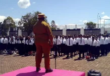 Pemkab Jayawijaya Verifikasi 800 CASN, Penempatan di OPD Dimulai Pekan Ini