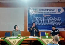 Kominfo Pegunungan Bintang Gelar Bimbingan Teknis Statistik Sektoral