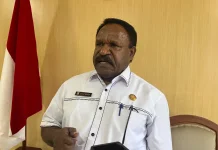 BKPSDM Papua Pegunungan Buka Seleksi 20 Jabatan Strategis