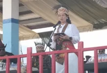 Wakil Menteri Pariwisata RI Buka Festival Budaya ke 34 di Wamena