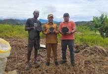 Bupati Spey Yan Birdana Ubah Sampah Plastik Menjadi Paving Blok