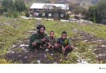 Hujan Es Rusak Lahan Pertanian, Pemda Lanny Jaya Bentuk Tim Tanggap Darurat