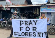 Solidaritas Flobamora Pegubin Galang Dana untuk Korban Gempa Bumi di Flores NTT