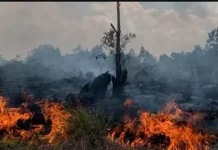 Waspada Potensi Kebakaran di Musim Kering