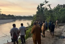 Bupati Nduga Tinjau Pengiriman Logistik Beras dan Kondisi Debit Air Sungai