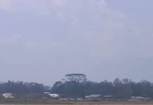 Kabut Asap Ganggu Penerbangan di Wamena, Jarak Pandang Jadi Kendala