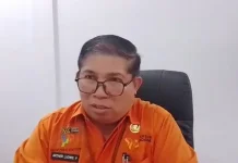 BPS Jayawijaya: Pendataan Sensus Ekonomi Belum Stabil di 3 Kabupaten