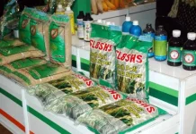 Kementan Siapkan Subsidi Benih untuk 1 Juta Hektare Lahan pada 2027