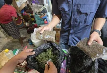 Drone Bantu Polisi Ungkap Penyimpanan 1,04 Kg Ganja di Pasar Wouma