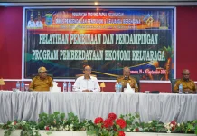 DPPKB Papua Pegunungan Dorong Kemandirian Ekonomi Keluarga