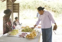 Pangan Lokal Lanny Jaya Jadi Prioritas Program MBG