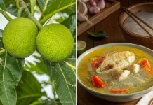 Mengenal 5 Superfood Lokal Kaya Nutrisi yang Tak Kalah dari Pangan Impor