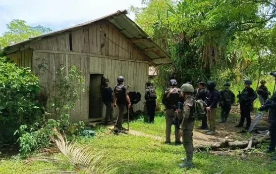 Satgas Damai Cartenz Tangkap Komandan KKB di Yahukimo