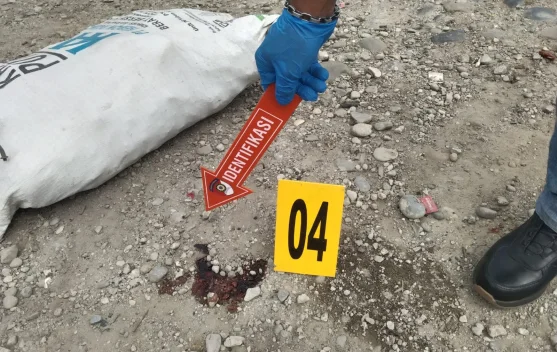 Pria Tewas Ditikam Adik Kandung di Terminal Pasar Baru Wamena