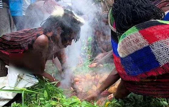 Mengenal Ragam Tradisi Bakar Batu Khas Papua Pegunungan