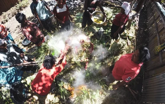 Membedah Filosofi Sakral Tanah dan Batu dalam Tradisi Bakar Batu Papua Pegunungan