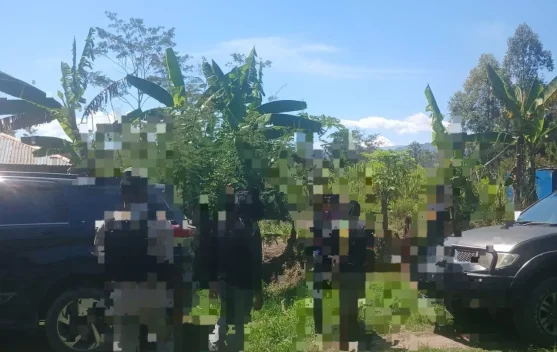 Satreskrim Polres Jayawijaya Amankan Terduga Pelaku Curanmor di Wamena