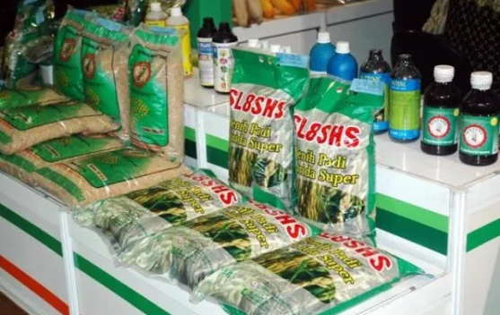 Kementan Siapkan Subsidi Benih untuk 1 Juta Hektare Lahan pada 2027