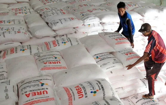 RUU Reforma Agraria Dinilai Penting untuk Melindungi Hak Petani