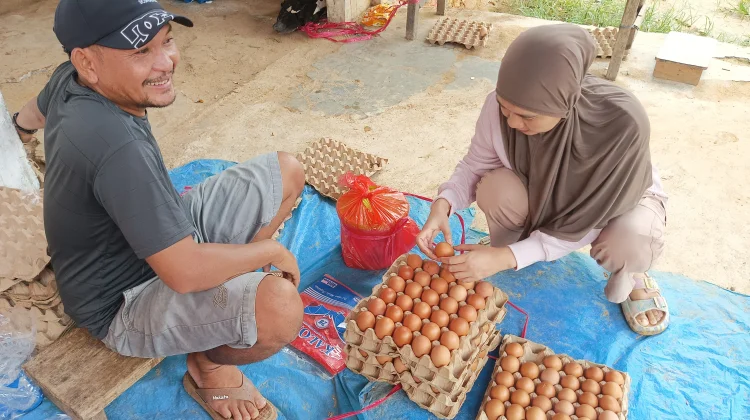 Usaha Telur Ayam Rumahan Perkuat Ekonomi Keluarga