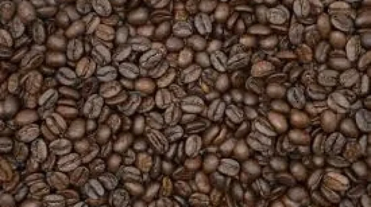 Pemkab Way Kanan Promosikan Kopi Robusta sebagai Ikon Daerah