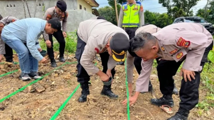Polres Way Kanan dan Jajaran Polsek Tanam Jagung Kuartal I 2026