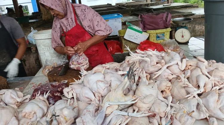 Penjualan Daging Ayam di Pasar Tradisional Meningkat