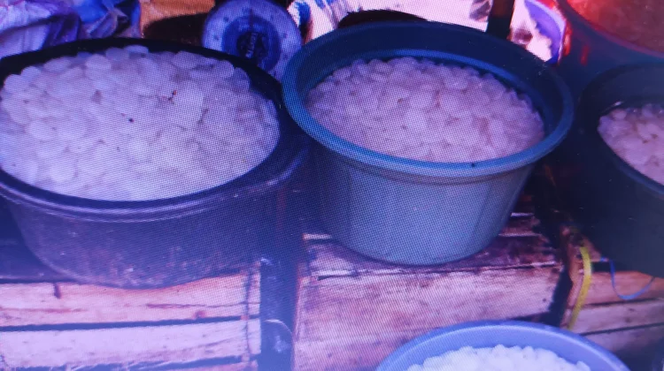 Penjualan Kolang-Kaling Meningkat Selama Bulan Ramadhan