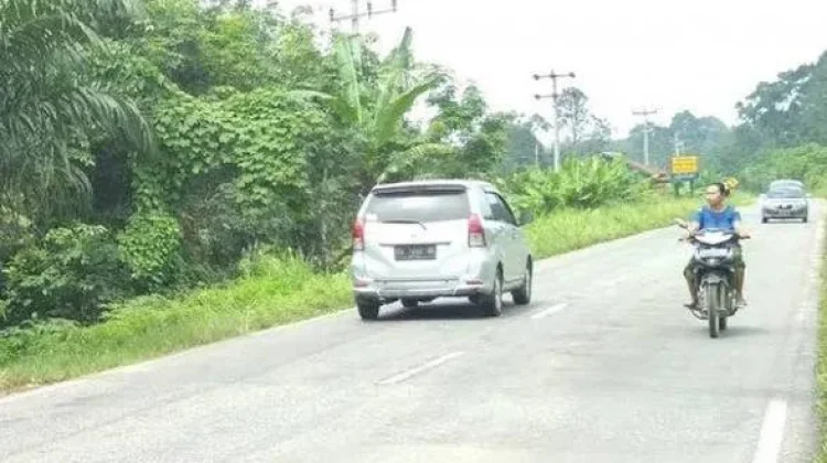 Pemudik Pilih Jalinsum Way Kanan Fasilitas Lengkap