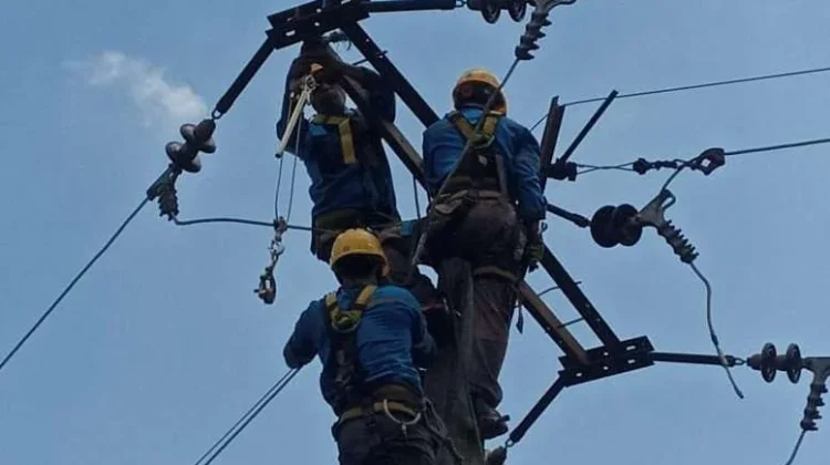 PLN Lakukan Pemeliharaan Jaringan tanpa Pemadaman di Way Kanan