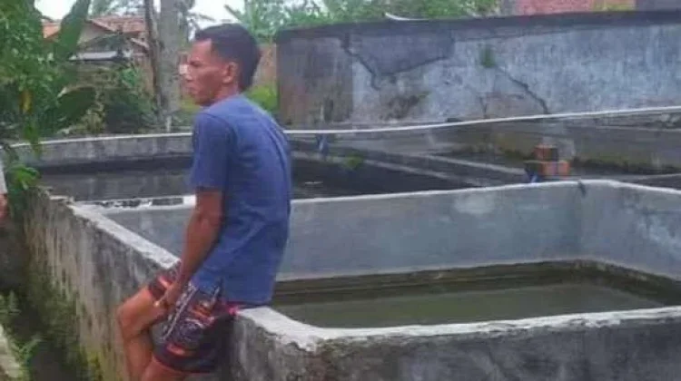 Warga Way Nyelai Budidaya Lele di Pekarangan Rumah