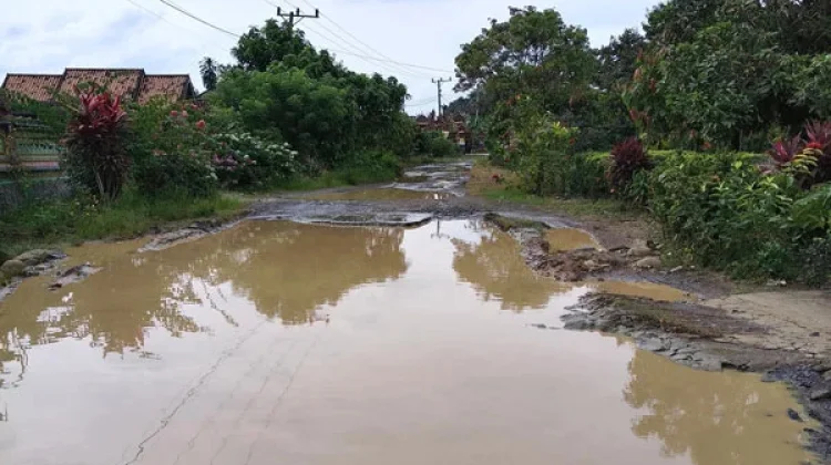Jalan di Banjit Way Kanan Rusak, Warga Keluhkan Lubang dan Genangan Air