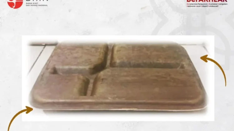 BRIN Kembangkan Kemasan dari Pelepah Pisang, Tantangan Ketahanan Cairan