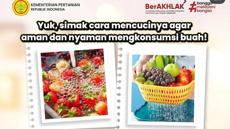 Residu Pestisida pada Buah Bisa Picu Kanker, Wajib Cuci Benar