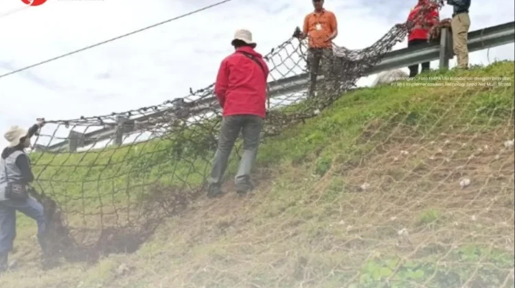 Jaring Ijuk dan Sabut Kelapa Bawa Benih, BRIN Ciptakan Seed Net Murah dan Efisien