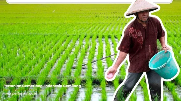 Gunakan Bagan Warna Daun, Petani Tepat Takar Pupuk Nitrogen