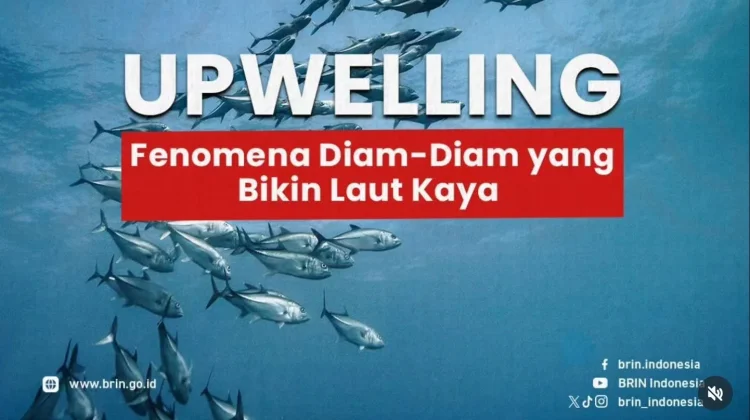 Kemarau 2026 Picu Upwelling, Laut Indonesia Dapat Pupuk Alami